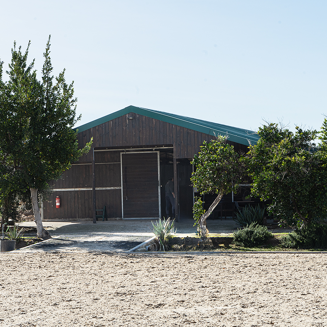 Nave americana - Juncosa Alta