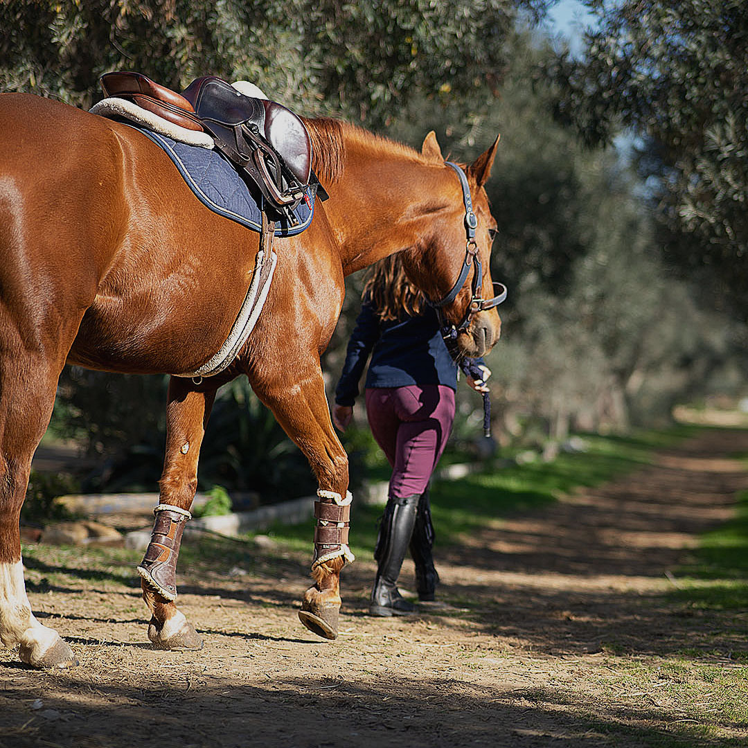 Pupilajes - Juncosa Alta