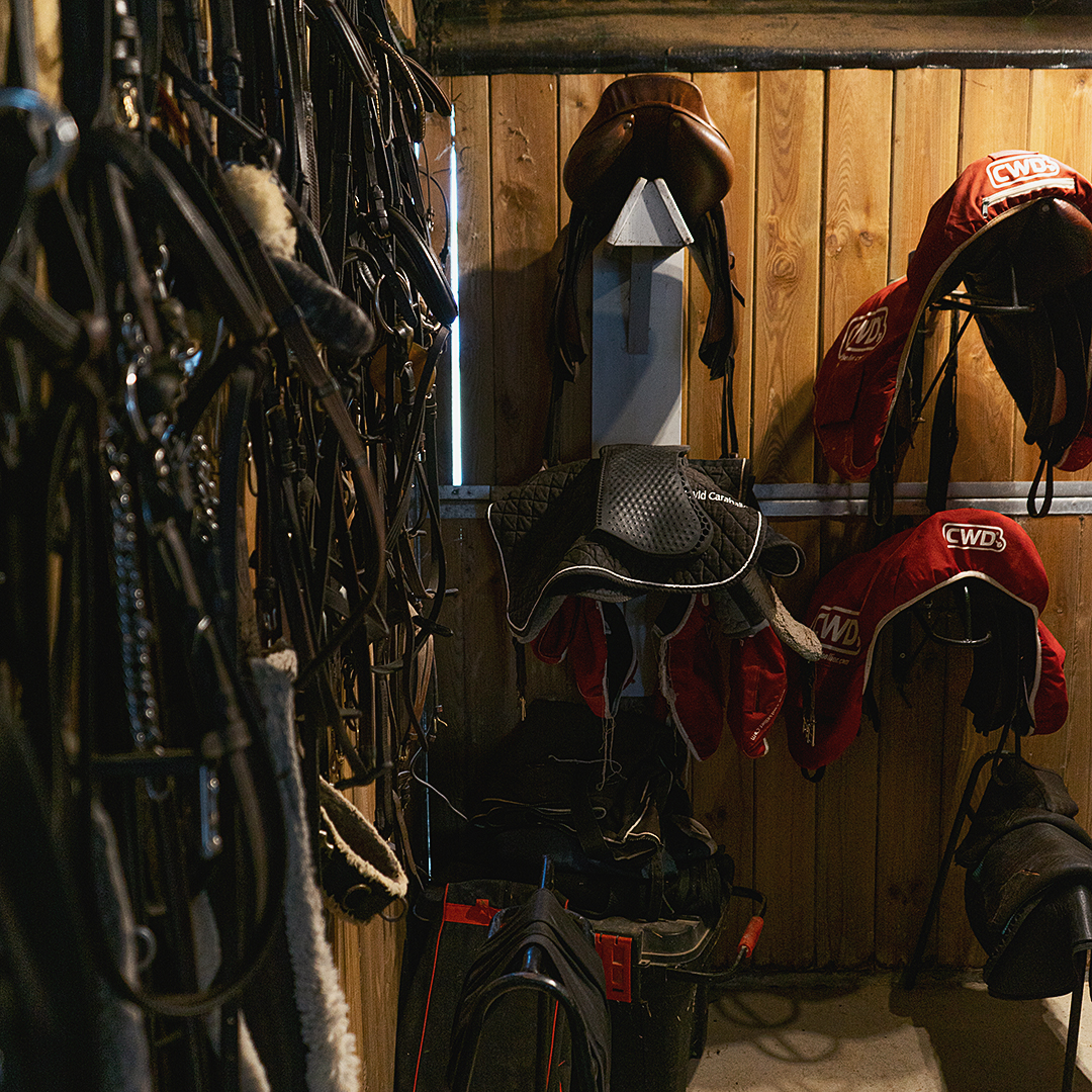 Guadarnés - Juncosa Alta